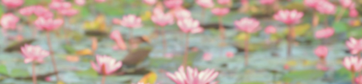 Fuengsin's Life and Work